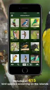 All Birds PR -> Antigua screenshot 2