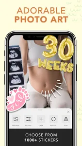 Pregnancy Pics screenshot 0