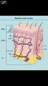 Fitzpatrick's Dermatology, 9/E screenshot 6