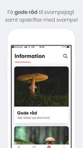 Shroomi - Danske Svampe screenshot 2