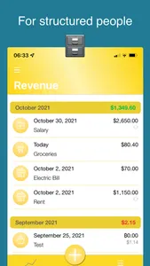 Finance Controller screenshot 3