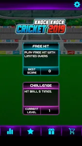 Knock Knock Cricket 2019 screenshot 0