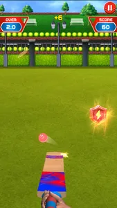 Knock Knock Cricket 2019 screenshot 1