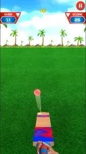 Knock Knock Cricket 2019 screenshot 2