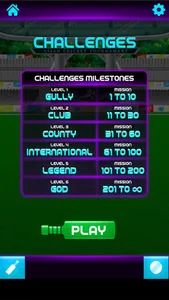 Knock Knock Cricket 2019 screenshot 4