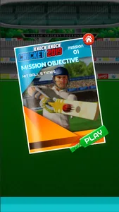 Knock Knock Cricket 2019 screenshot 5