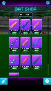 Knock Knock Cricket 2019 screenshot 7