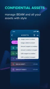 Beam Privacy Wallet screenshot 1