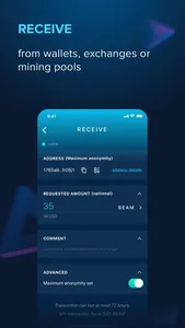 Beam Privacy Wallet screenshot 3