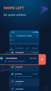 Beam Privacy Wallet screenshot 7