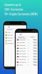 Fast Czech Koruna converter screenshot 3