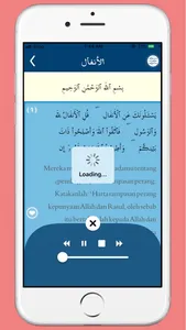 Quran Kareem with Translation screenshot 0