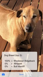 TPDogBreeds screenshot 0