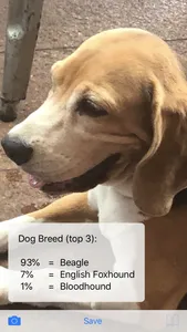 TPDogBreeds screenshot 1