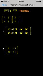 Progwhiz Matrices Solver screenshot 2
