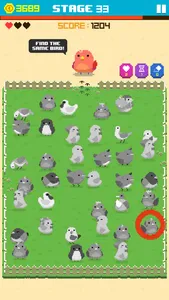 Find Bird - match puzzle screenshot 1