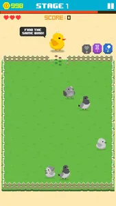 Find Bird - match puzzle screenshot 3