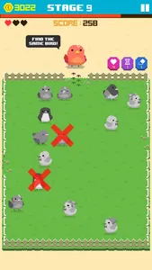 Find Bird - match puzzle screenshot 5