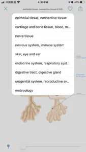 Atlas of Human Histology screenshot 4