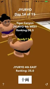 AR Sumo screenshot 3