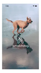 Amazdog screenshot 2