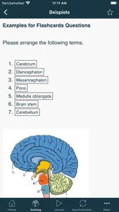 Springer Nature Flashcards screenshot 2