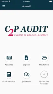 C2P Audit screenshot 0