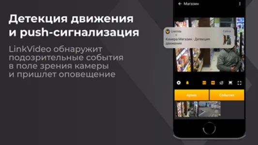 Видеонаблюдение LinkVideo screenshot 4