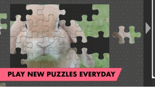 Fantastic Jigsaws screenshot 4