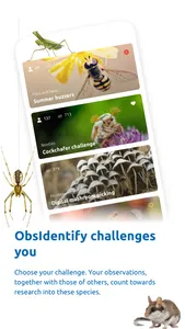 ObsIdentify screenshot 4