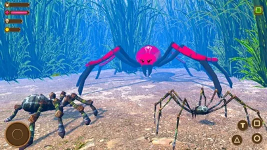 Wild Spider - Insect Simulator screenshot 3