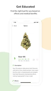 Cannections screenshot 1