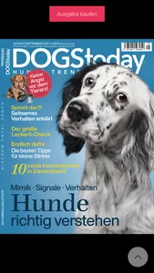 DOGStoday Magazin screenshot 0