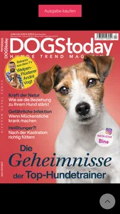 DOGStoday Magazin screenshot 2