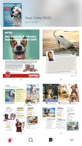 DOGStoday Magazin screenshot 3