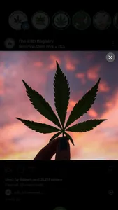 My Ganja screenshot 4