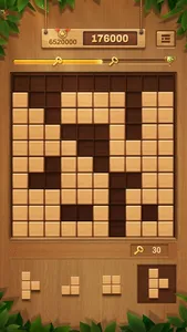 Wood Block Puzzle Games screenshot 6