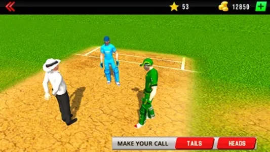 Real World Cricket League 19 screenshot 1