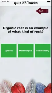 Kidz Learn Rocks screenshot 4