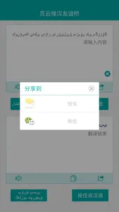 灵云维汉友谊桥 screenshot 4