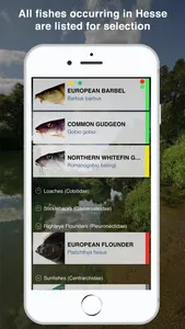 Fishguide Hessia screenshot 1