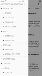 Diari La Ciutat screenshot 2