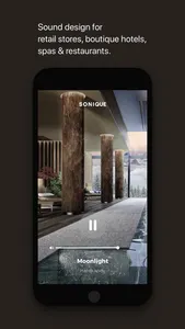 Sonique Player screenshot 3