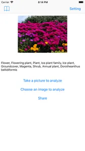 PhotoAnalyze AI photo analyzer screenshot 0