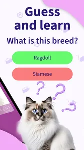 Cat Breed Games Dear My Kitten screenshot 1