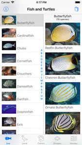 Palmyra Atoll Nature Guide screenshot 6