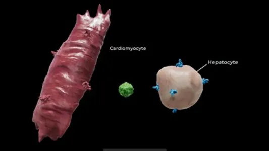 Turning Genes into Medicine screenshot 2