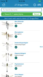 Dragonfly SA screenshot 1