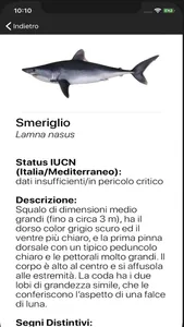 SharkApp screenshot 2