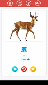 Chinese for beginner screenshot 1